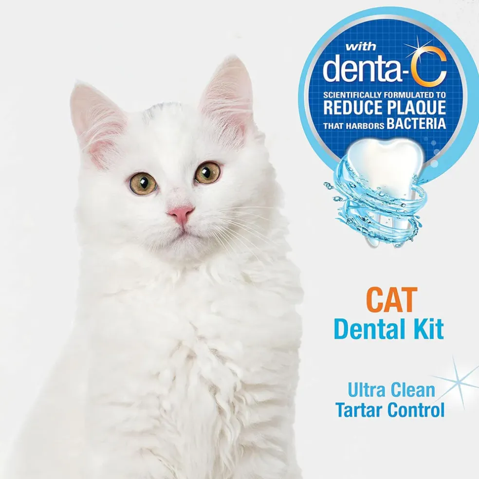 Nylabone Advanced Oral Care Original Flavor Cat Dental Kit, 3 count