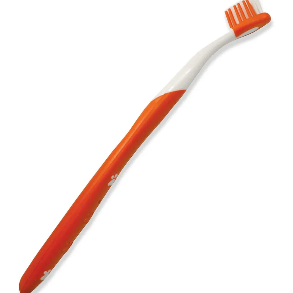 Nylabone Advanced Oral Care Original Flavor Cat Dental Kit, 3 count
