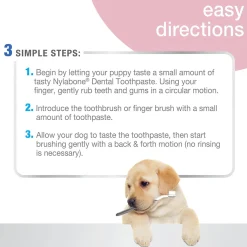 Nylabone Advanced Oral Care Puppy Dental Kit with Pillowy Soft-Bristle Toothbrush & Peanut Butter Toothpaste