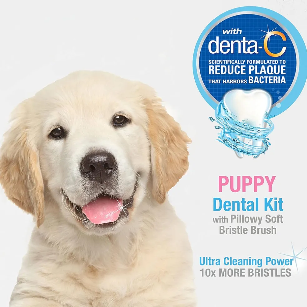 Nylabone Advanced Oral Care Puppy Dental Kit with Pillowy Soft-Bristle Toothbrush & Peanut Butter Toothpaste
