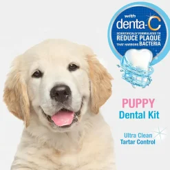Nylabone Advanced Oral Care Puppy Dental Kit