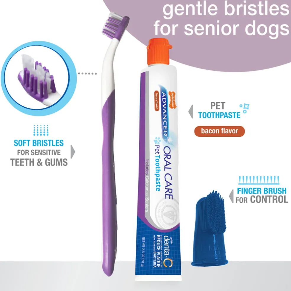 Nylabone Advanced Oral Care Senior Dog Dental Kit