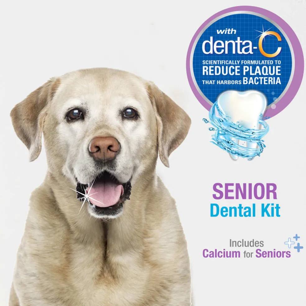 Nylabone Advanced Oral Care Senior Dog Dental Kit