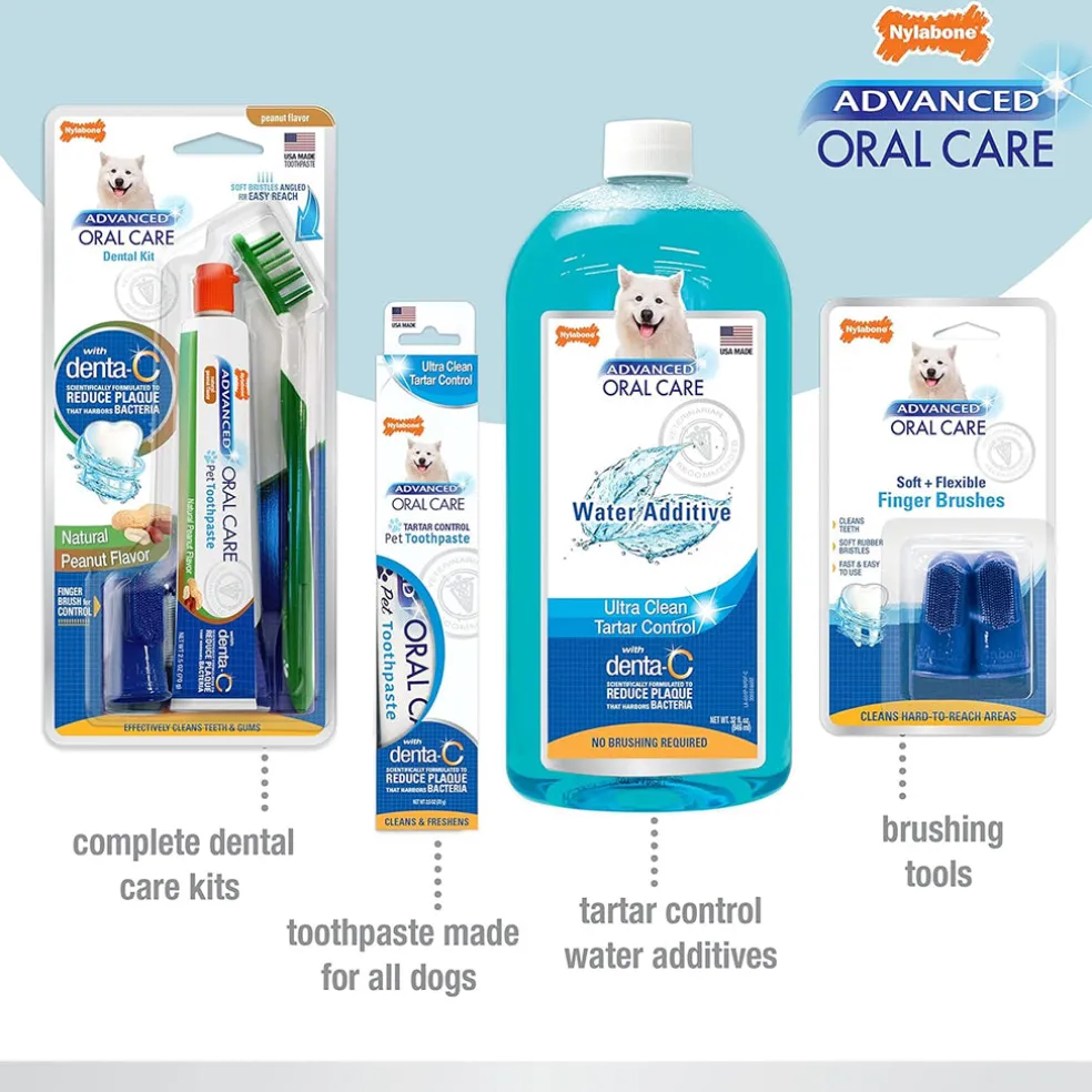 Nylabone Advanced Oral Care Senior Dog Dental Kit