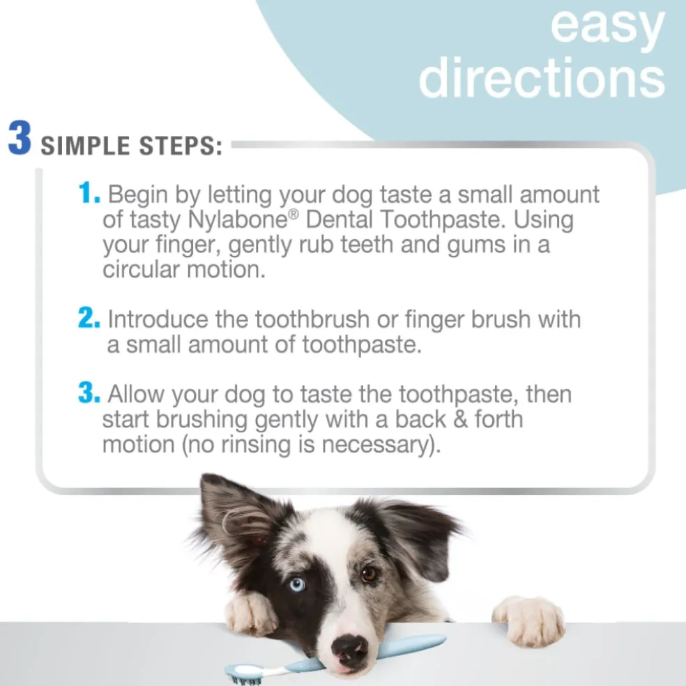 Nylabone Advanced Oral Care Tartar Control Dog Toothpaste (2.5 oz)