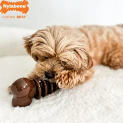 Nylabone Chill & Chew Medley Flavor Flexi Dog Chew Toy, Medium/Wolf