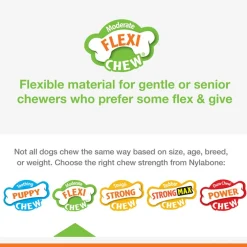 Nylabone Chill & Chew Medley Flavor Flexi Dog Chew Toy, Medium/Wolf