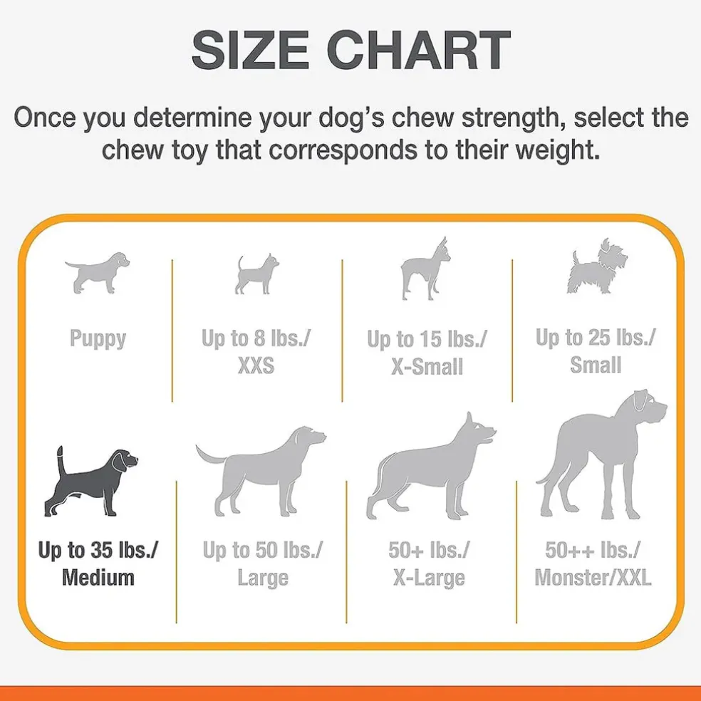 Nylabone Chill & Chew Medley Flavor Flexi Dog Chew Toy, Medium/Wolf