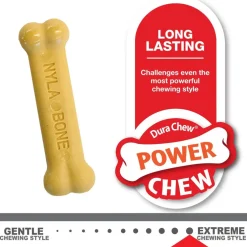 Nylabone Classic Puppy Chew Flavored Durable Dog Chew Toy, X-Small/Petite