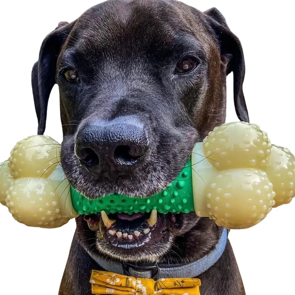 Nylabone Double Action Power Chew Durable Dog Toy Bacon