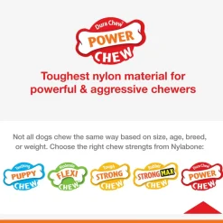 Nylabone Double Action Power Chew Durable Dog Toy Bacon