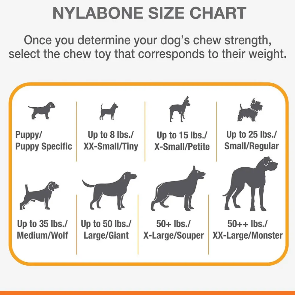 Nylabone Double Action Power Chew Durable Dog Toy Bacon