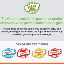 Nylabone Healthy Edibles and Flexi Chew Value Pack, Chicken & Bacon Flavor, X-Small
