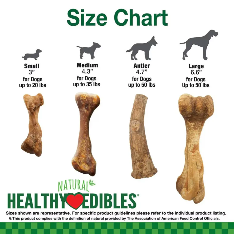 Nylabone Healthy Edibles Broth Bone Ham Flavor Dog Treats
