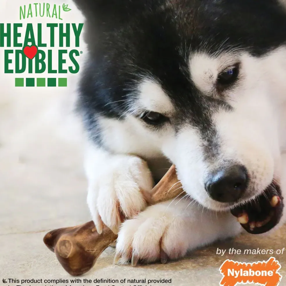 Nylabone Healthy Edibles Broth Bone Ham Flavor Dog Treats