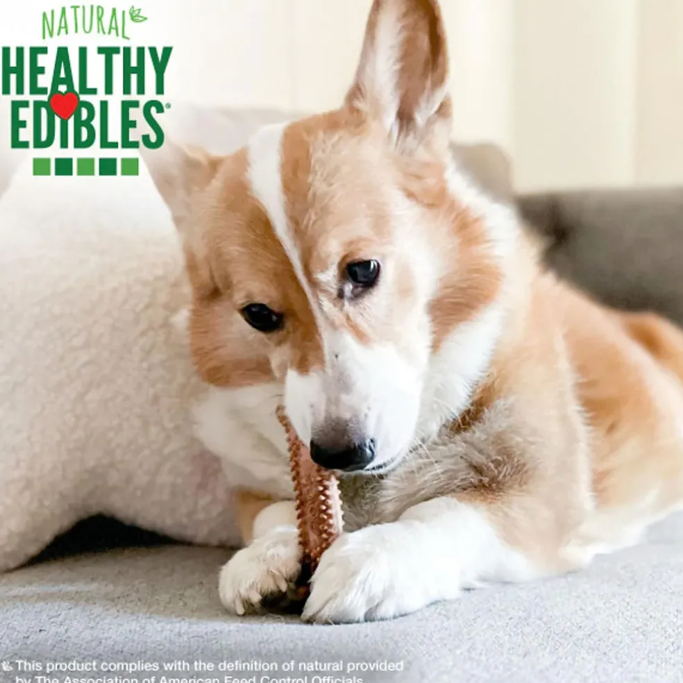 Nylabone Healthy Edibles Meaty Center Beef Flavor Natural Dog Treats