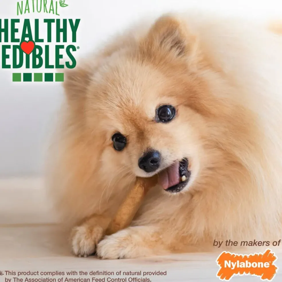 Nylabone Healthy Edibles Natural Long Lasting Roast Beef Flavor Dog Chew Treats