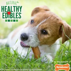 Nylabone Healthy Edibles Natural Long Lasting Chicken Flavor Dog Chew Treat