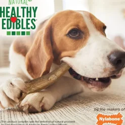 Nylabone Healthy Edibles WILD Natural Long Lasting Venison Antler Dog Chew Treats - Medium/Wolf, 10-count
