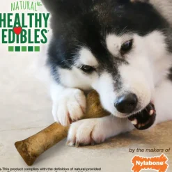 Nylabone Healthy Edibles WILD Natural Long-Lasting Bison Flavor Bone Chew Treats for Dogs
