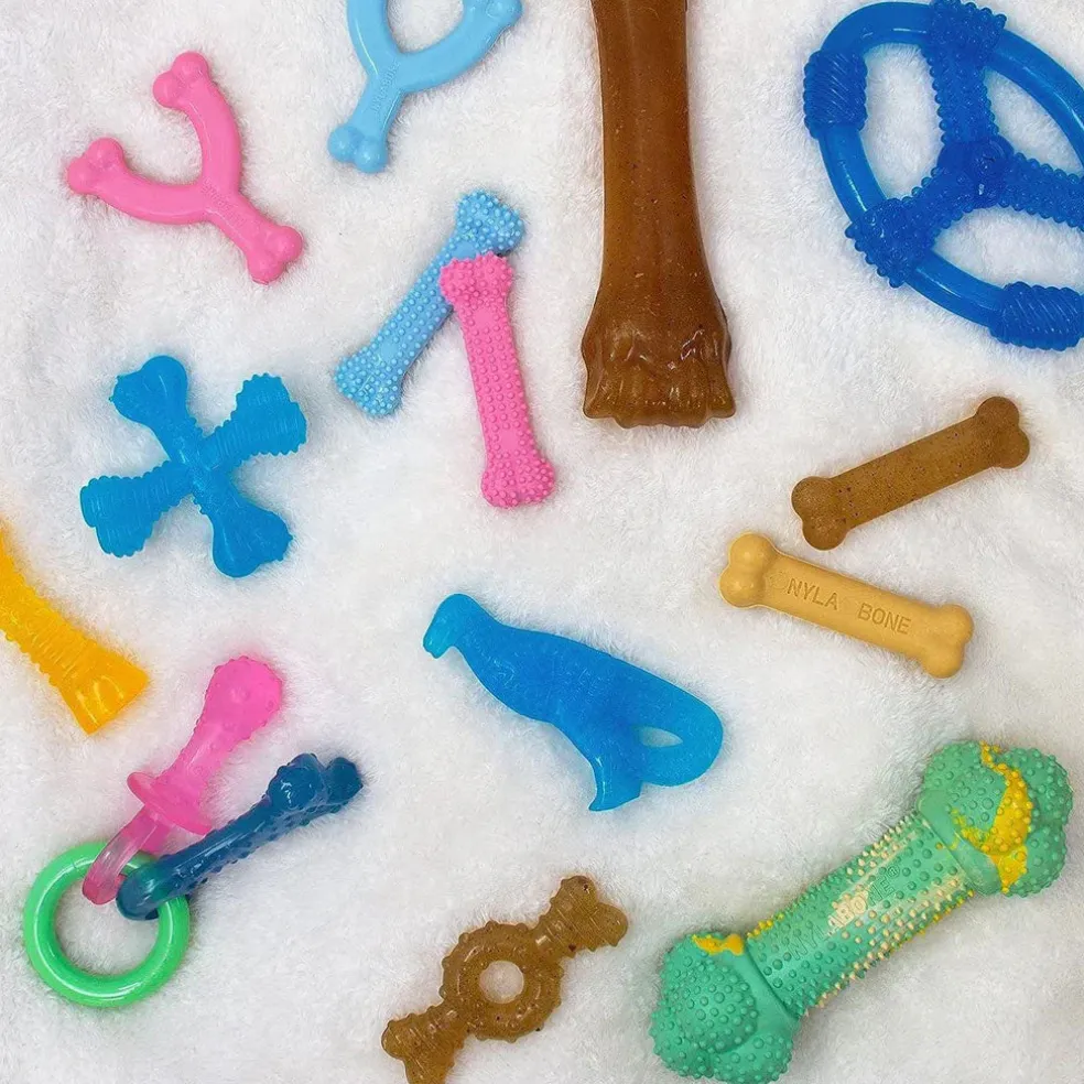 Nylabone Just for Puppies Teething Chew Ring Flavor Medley Dog Bone, X-Small/Petite, 2 count