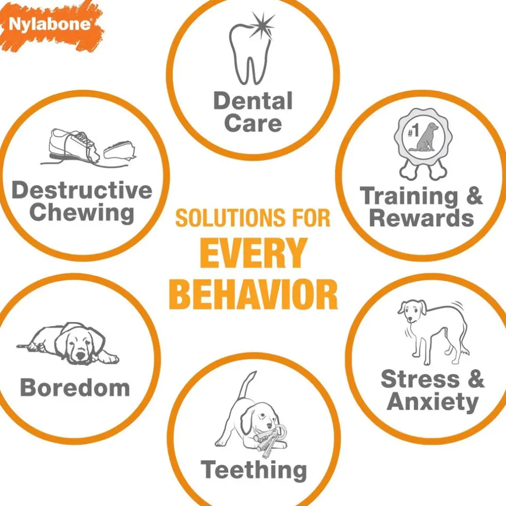 Nylabone Just for Puppies Teething Chew Ring Flavor Medley Dog Bone, X-Small/Petite, 2 count
