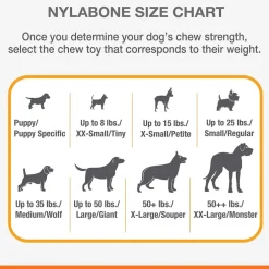 Nylabone Moderate Chew FlexiChew Dental Chew Toy, Textured Bone, Chicken Flavor
