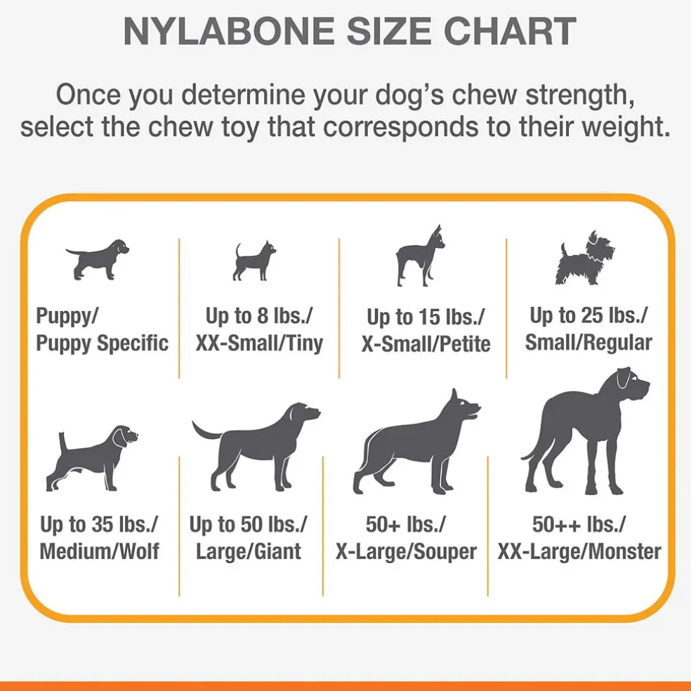 Nylabone Moderate Chew FlexiChew Dental Chew Toy, Textured Bone, Chicken Flavor