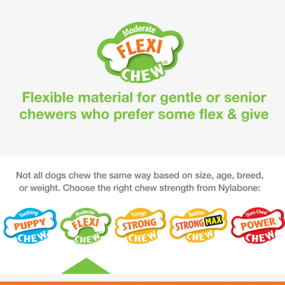 Nylabone Moderate Flexi Chew Chicken Flavor Dog Toy