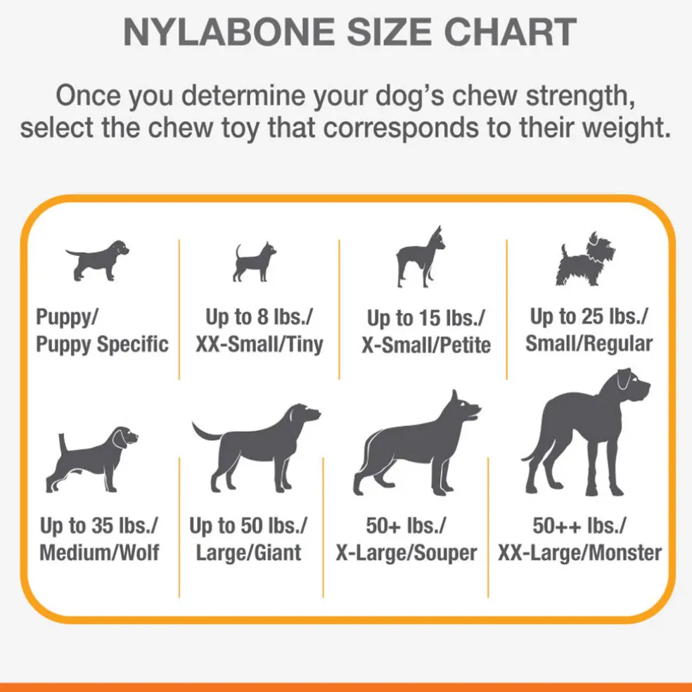 Nylabone Moderate Flexi Chew Chicken Flavor Dog Toy