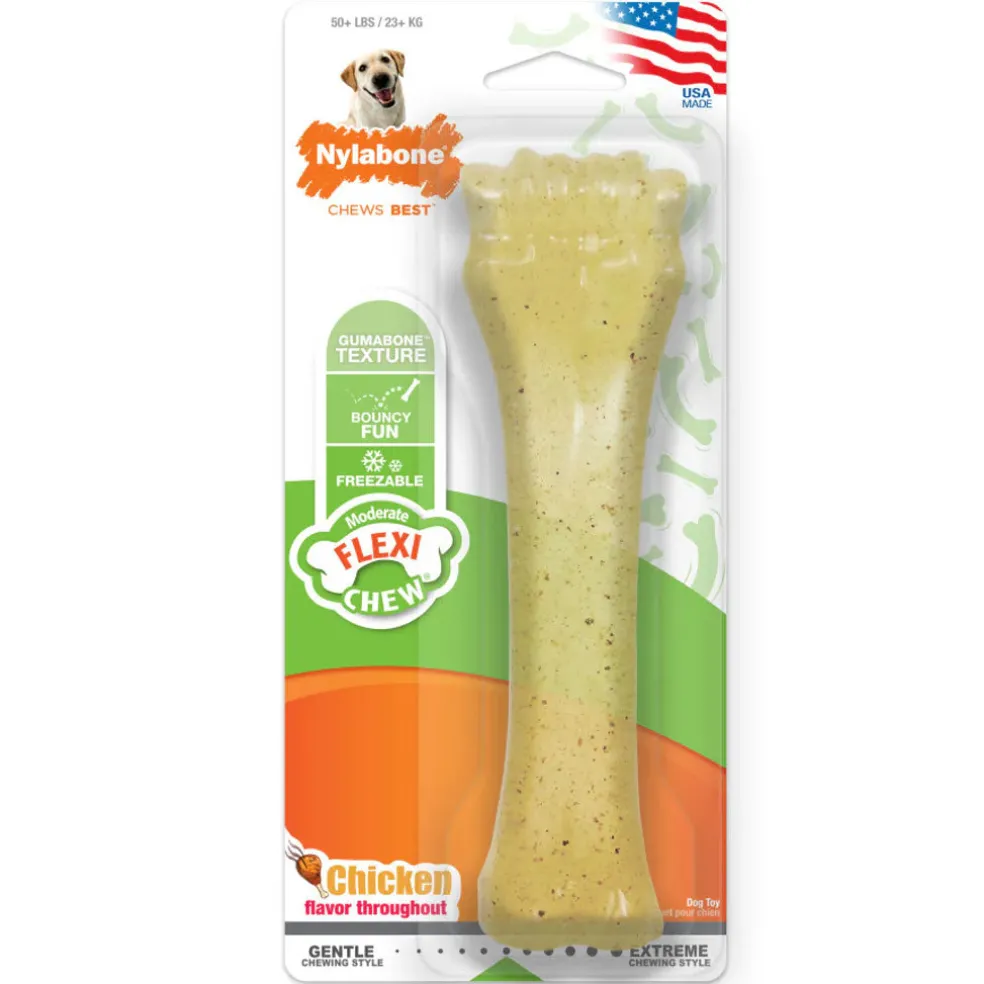 Nylabone Moderate Flexi Chew Chicken Flavor Dog Toy