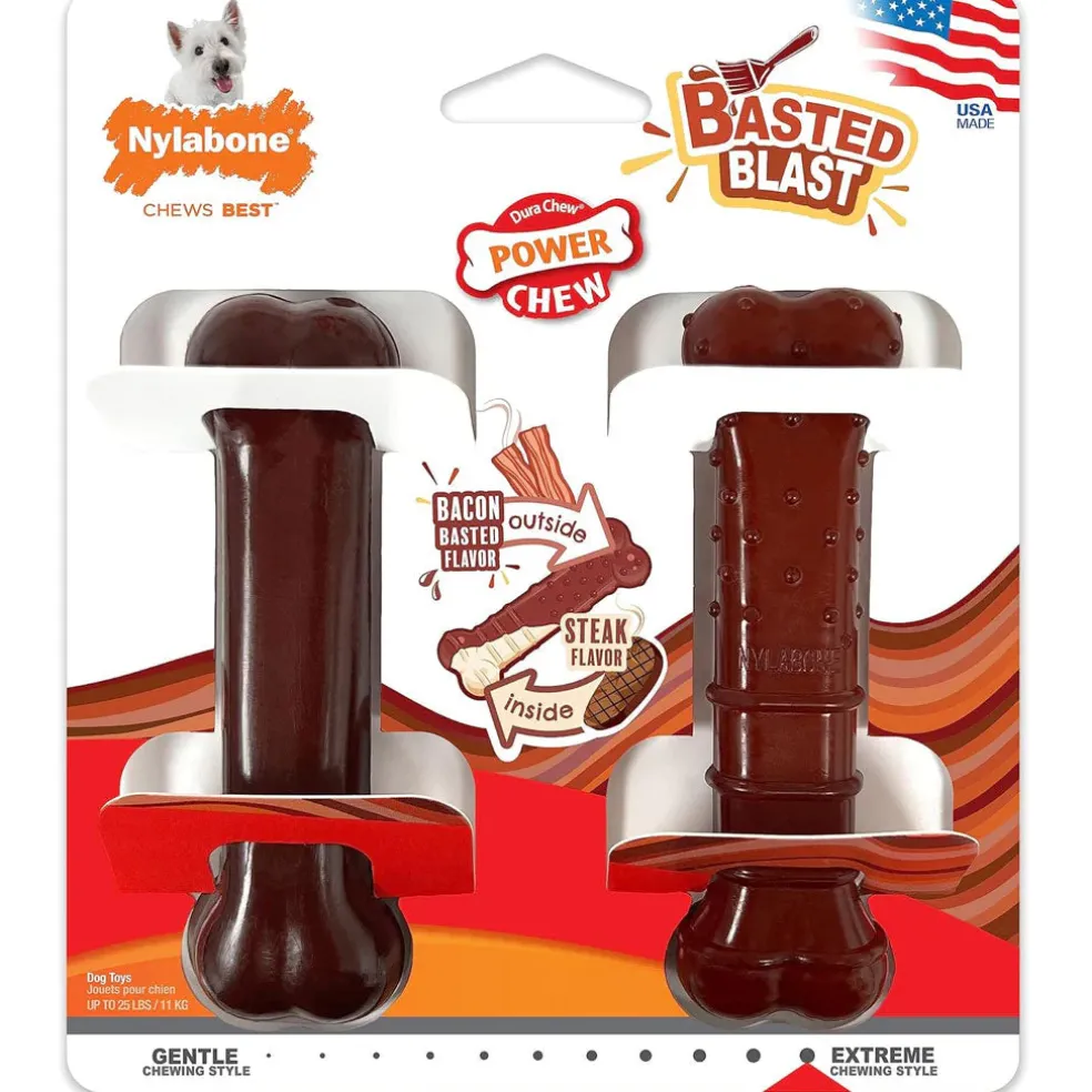 Nylabone Power Chew Basted Blast Dual Flavored Dog Chew Toys