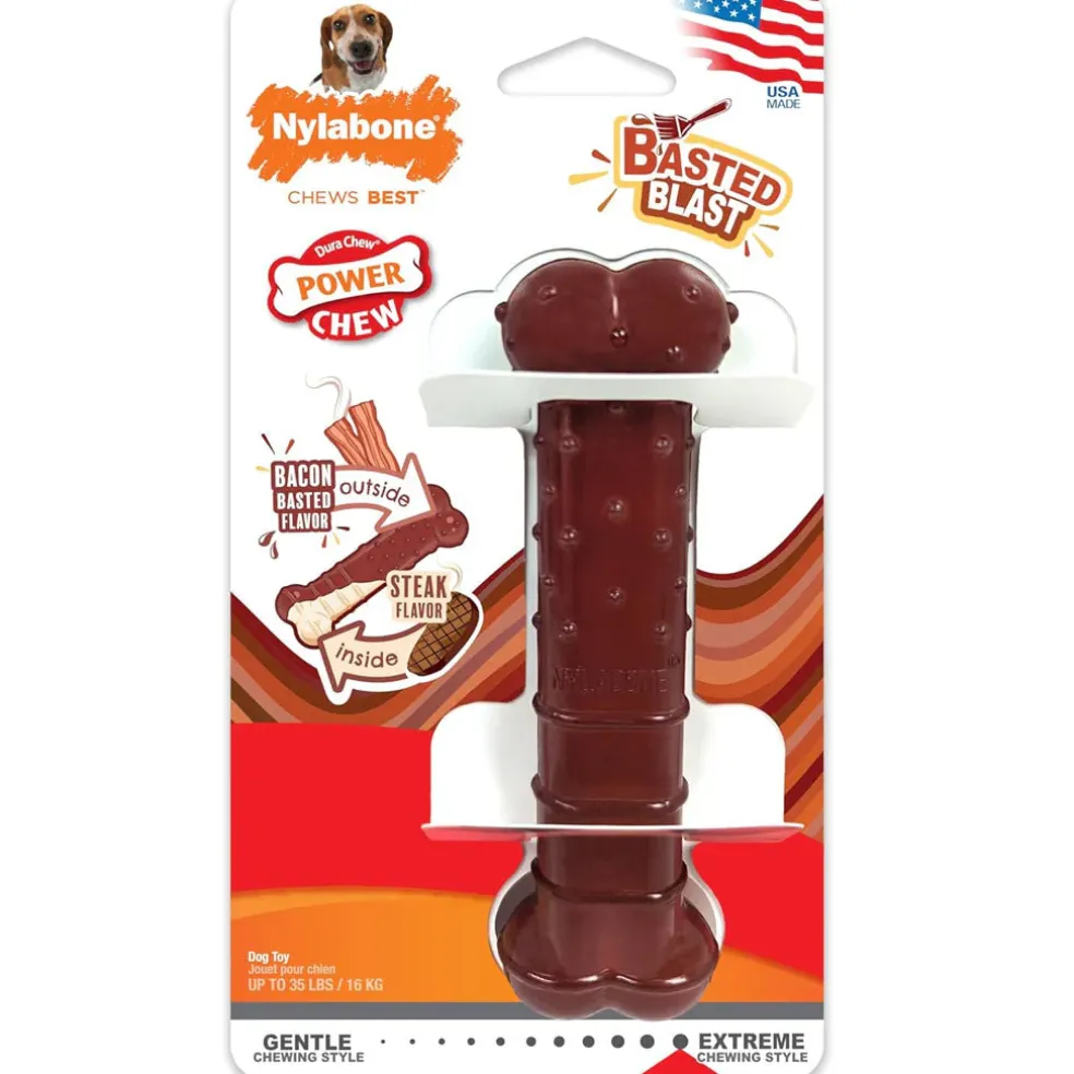 Nylabone Power Chew Basted Blast Dual Flavored Dog Chew Toys