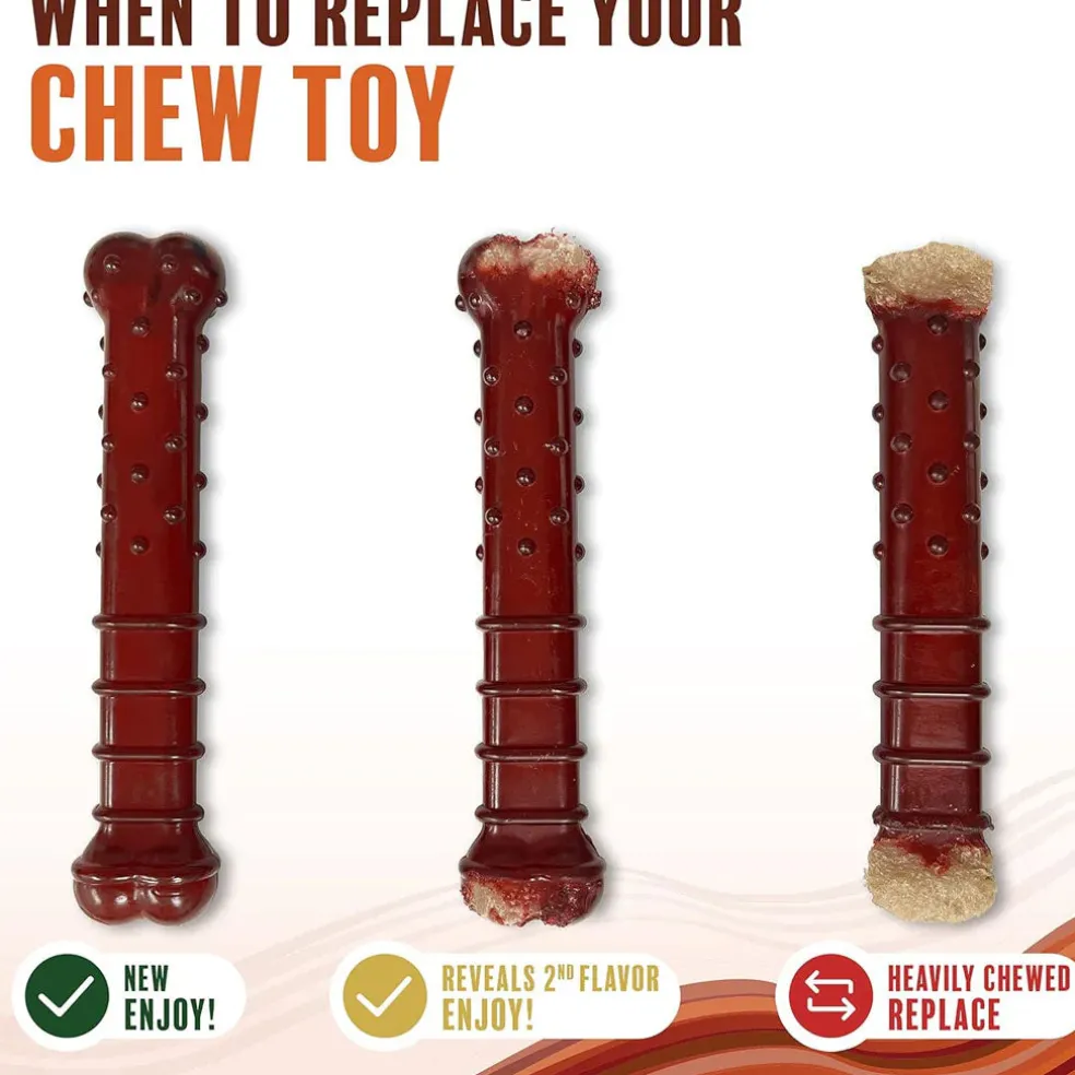 Nylabone Power Chew Basted Blast Dual Flavored Dog Chew Toys