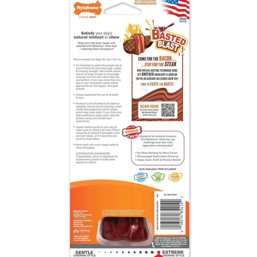Nylabone Power Chew Basted Blast Dual Flavored Dog Chew Toys