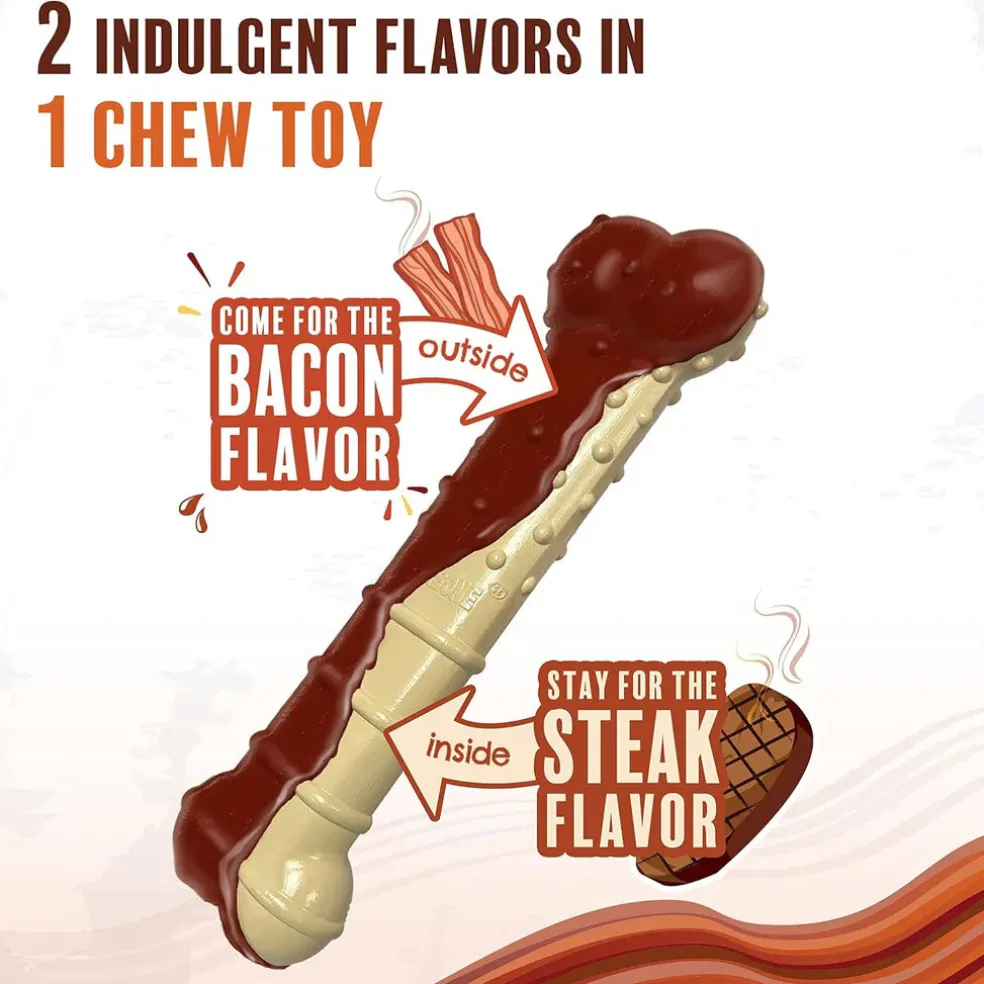 Nylabone Power Chew Basted Blast Dual Flavored Dog Chew Toys