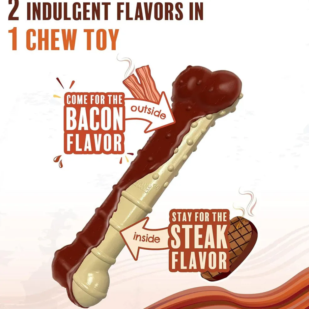 Nylabone Power Chew Basted Blast Dual Flavored Dog Chew Toys