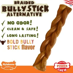 Nylabone Power Chew Braided Bully Stick Alternative Chew Toy for Dogs, Large