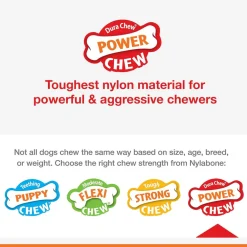 Nylabone Power Chew Broccoli Dog Toy, Bacon & Cheese Flavor, Large/Giant