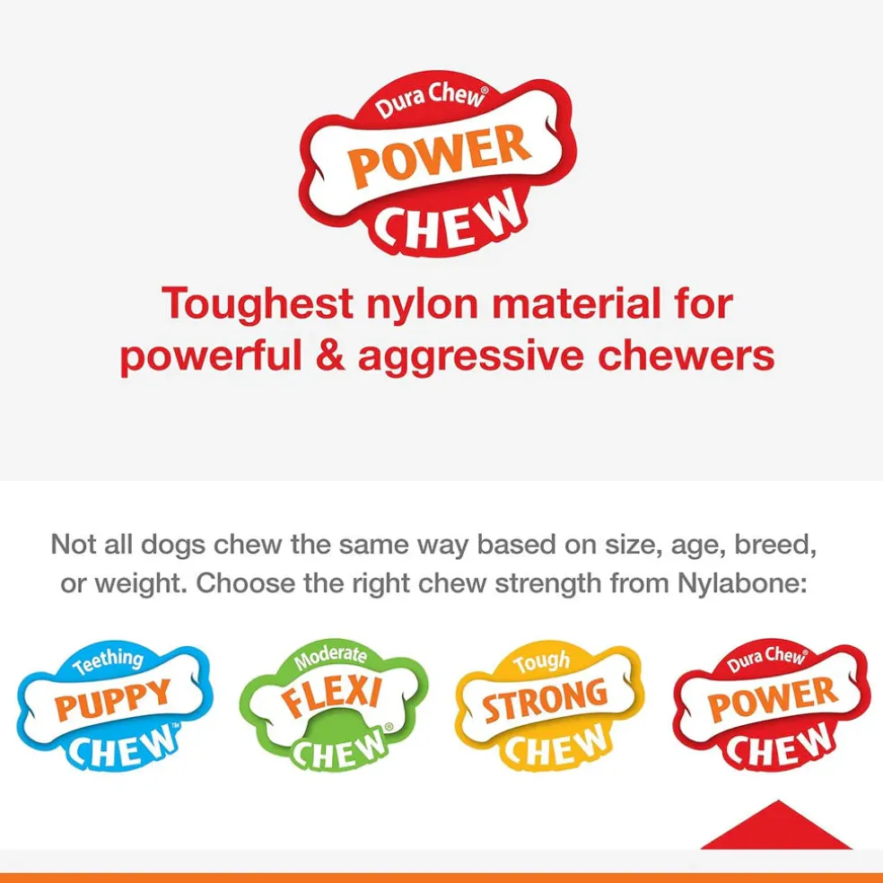 Nylabone Power Chew Broccoli Dog Toy, Bacon & Cheese Flavor, Large/Giant