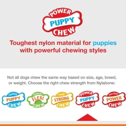 Nylabone Power Chew Chicken Flavored Knuckle Bone & Pop-In Treat Toy Combo Dog Chew Toy