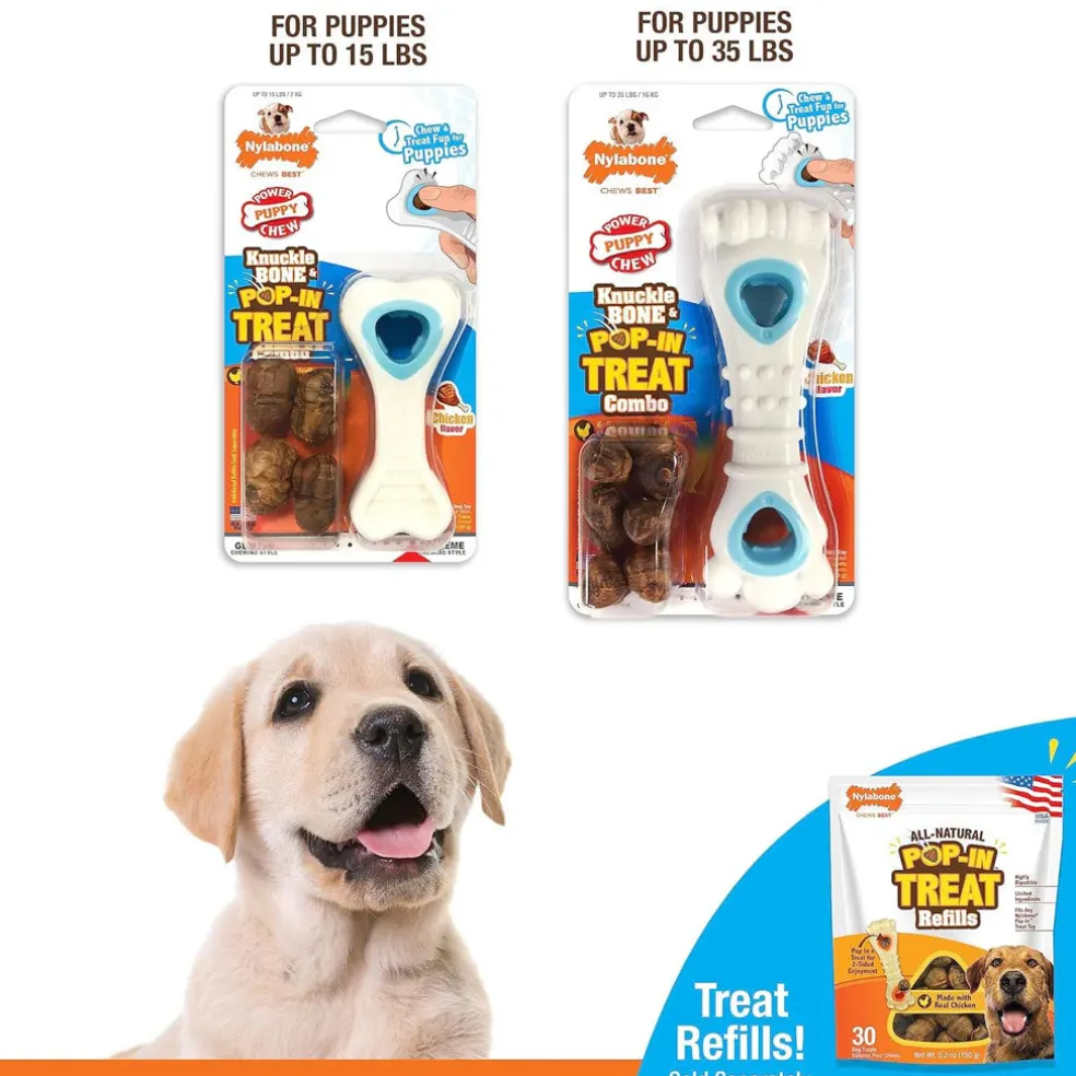 Nylabone Power Chew Chicken Flavored Knuckle Bone & Pop-In Treat Toy Combo Dog Chew Toy
