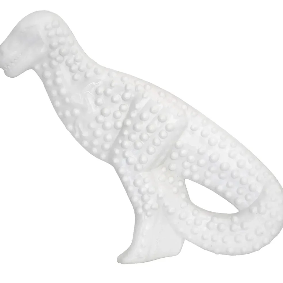 Nylabone Power Chew Dental Dinosaur Chicken Flavor Dog Toy, Large/Giant