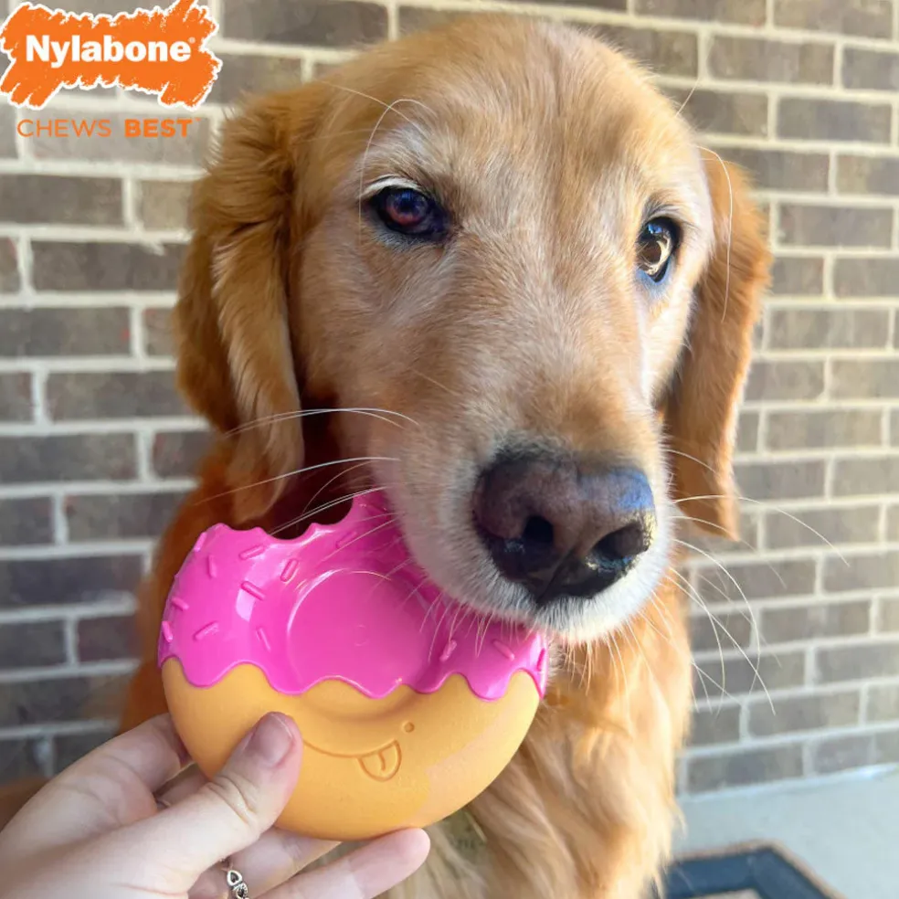 Nylabone Power Chew Donut Bacon Glazed Flavor Dog Toy