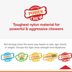 Nylabone Power Chew Donut Bacon Glazed Flavor Dog Toy