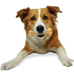 Nylabone Power Chew Peanut Butter Flavored Dog Chew Toy
