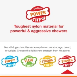 Nylabone Power Chew Pretzel Dog Toy Bacon & Peanut Butter