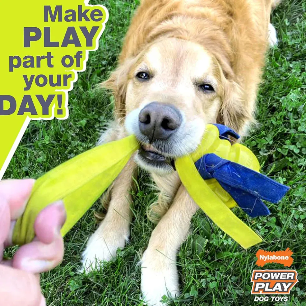 Nylabone Power Play Basketball B-Ball Gripz Dog Toy