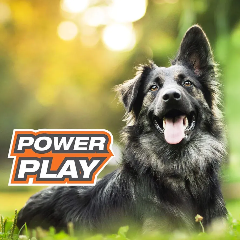 Nylabone Power Play Basketball B-Ball Gripz Dog Toy
