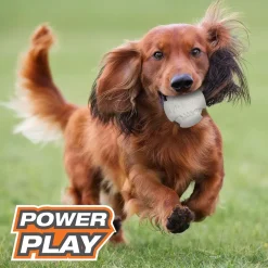 Nylabone Power Play Dog Baseball Gripz, Medium/Wolf